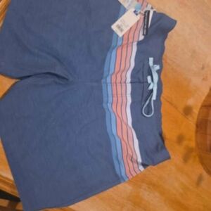 Southern Tide Blue Swim Shorts with Multicolor Stripes